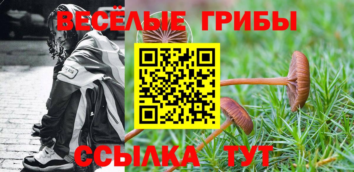 Галлюциногенные грибы Psilocybine cubensis Кинель